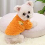Hondentrui voor kleine honden - Afbeelding 3