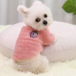 Hondentrui voor kleine honden - Afbeelding 2
