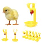 Automatisch kippendrinksysteem - 10 stuks - Afbeelding 2