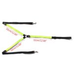 LED-harnas voor paarden - Afbeelding 4