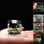 Broedbox insecten en reptielen - kunststof - Afbeelding 2