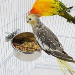 RVS vogelvoerbak voor kooi - Afbeelding 2