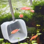 Uitklapbaar netje - aquarium net - Afbeelding 2