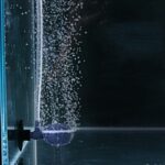 Aquarium zuurstofsteen met zuignap - Afbeelding 2