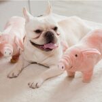 Pluche slaapspeelgoed voor honden - Afbeelding 2