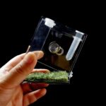 Broedbox insecten en reptielen - kunststof - Afbeelding 4