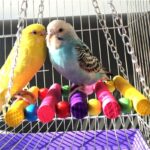Vogelschommel van hout en metaal - Afbeelding 2