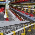 Automatisch kippendrinksysteem - 10 stuks - Afbeelding 3