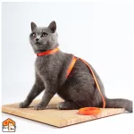 Katten harnas - met riem