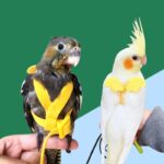 Vogelharnas met vleugeldesign - S t/m XL - Afbeelding 2