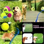 Ballenwerper voor honden - Afbeelding 2