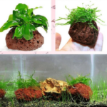 Aquarium decoratie - vulkanisch gesteente - Afbeelding 2