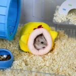 Zacht hamsterbed - Afbeelding 2