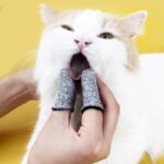 Vingerborstels voor honden en katten - Afbeelding 2
