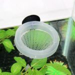 Voedercones voor aquariumvissen - 2 stuks - Afbeelding 4