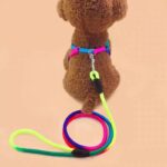Regenboog hondenriem - Afbeelding 4
