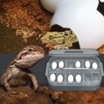 Reptielenincubator met thermostaat - Afbeelding 2