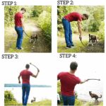 Ballenwerper voor honden - Afbeelding 4