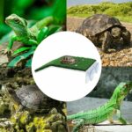 Schildpaddenplatform met kunstgras - Afbeelding 2