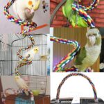 Zitstok voor vogels - Afbeelding 2