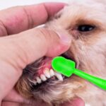 Siliconen tandenborstel voor huisdieren - Afbeelding 3