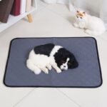 Trainingsmat voor honden - Afbeelding 3