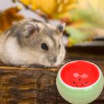 Keramische voerbak voor knaagdieren - Afbeelding 3