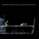 Broedbox voor aquariumvissen - Afbeelding 4