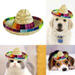 Mini-sombrero voor huisdieren - Afbeelding 4
