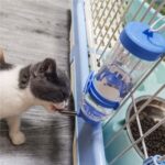 Waterdispenser voor kleine huisdieren - Afbeelding 2
