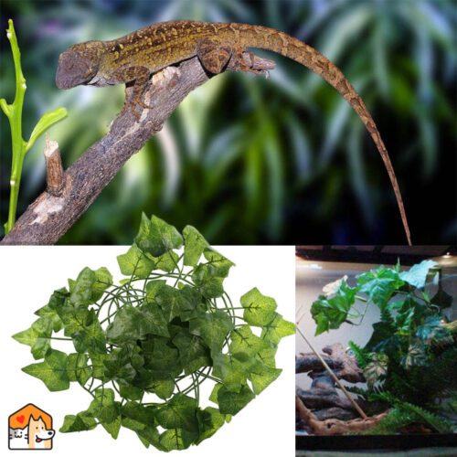 Terrarium Decoratie – Planten – Klimop Extra HuisdierXL