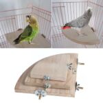 Waaiervormig plankje - kooi decoratie - vogels, knaagdieren - Afbeelding 2