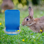 Kunststof voerbak voor kleine dieren - Afbeelding 2