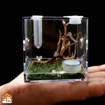 Broedbox insecten en reptielen - kunststof
