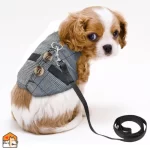 Vest voor honden en katten - S t/m L