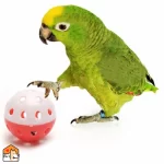 Kleine speelballetjes - 10 stuks - met belletje