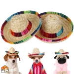 Mini-sombrero voor huisdieren
