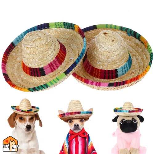 Mini sombrero – Olé! – Voor huisdiertjes Extra HuisdierXL