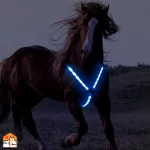 LED-harnas voor paarden