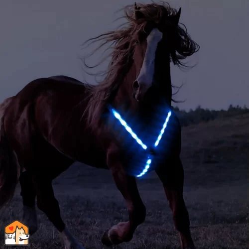Paarden harnas – Led verlichting Kleding HuisdierXL