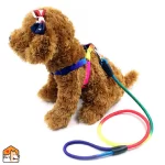 Regenboog hondenriem