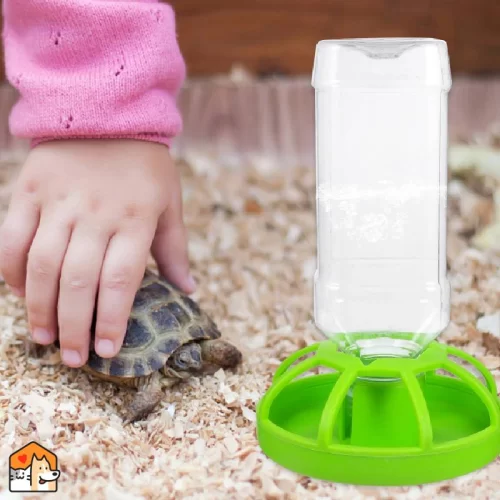 Water dispenser voor Reptielen Reptielen en Amfibieën HuisdierXL