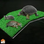 Schildpaddenplatform met kunstgras