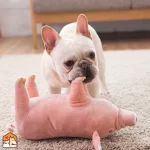 Pluche slaapspeelgoed voor honden