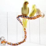 Zitstok voor vogels