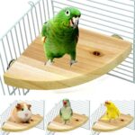 Waaiervormig plankje - kooi decoratie - vogels, knaagdieren - Afbeelding 3