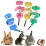 Waterdispenser voor kleine huisdieren