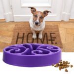 Slowfeeder voor honden - Afbeelding 2
