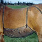 Buikbescherming tegen insecten voor paarden - Afbeelding 3
