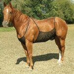 Buikbescherming tegen insecten voor paarden - Afbeelding 2